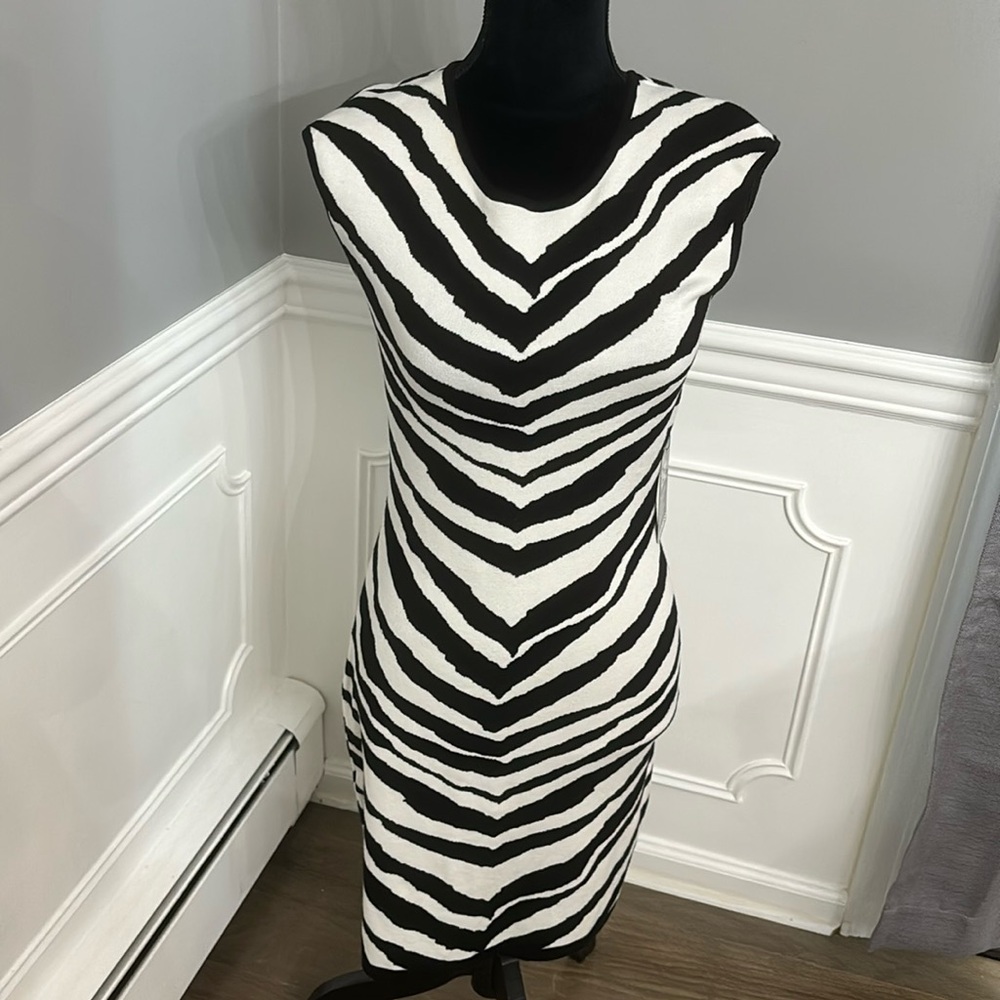 Express Zebra Print Dress Size Small